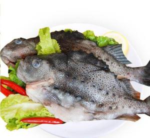 麒麟斑鱼是一道美食,主要原料有石斑鱼,香菇,火腿,竹笋,油菜心等.