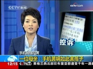 黄色网站