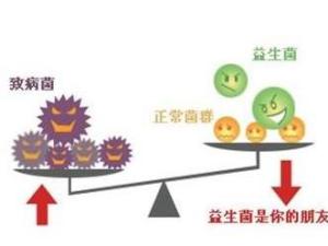 益生菌