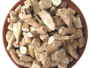 板蓝根