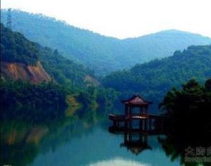 莲花山风光