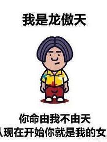 龙傲天