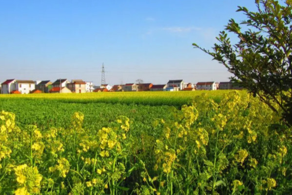 平原(一种地貌形态)_搜狗百科