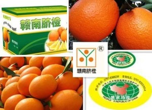 赣南脐橙