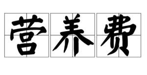 营养费