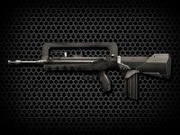 FAMAS
