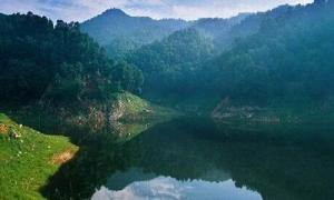 山东药乡国家森林公园