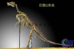 巨型山东龙