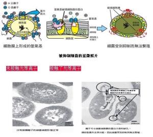 光等离子抑菌效果
