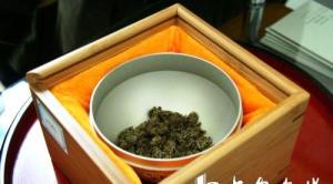 哥德堡号的松萝茶