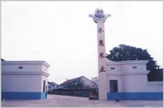 柏坊镇