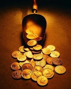 其他货币资金