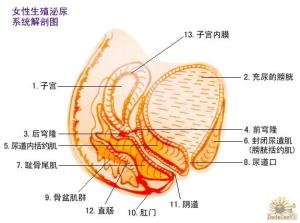 结构图