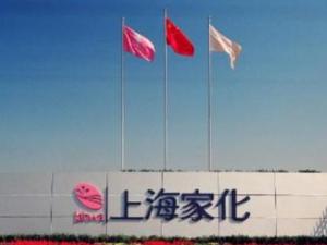 上海家化联合股份有限公司