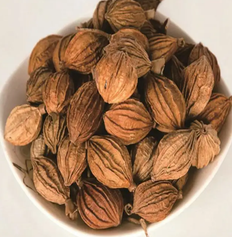 香砂