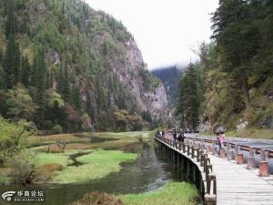 天鹅海风景（二）