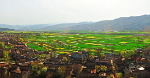 礼县