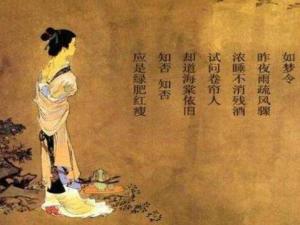 如梦令·昨夜雨疏风骤
