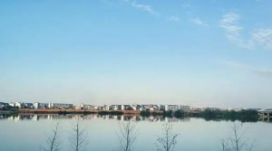 临川区