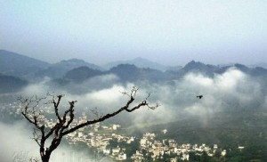 梅雨景色
