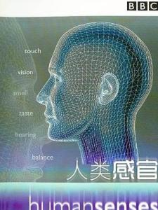 人类感官