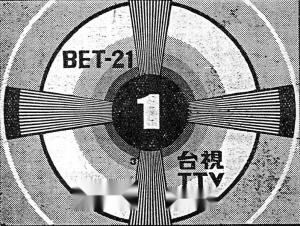台视开播时之黑白检验图