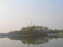 西淝河