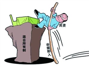 混合所有制改革