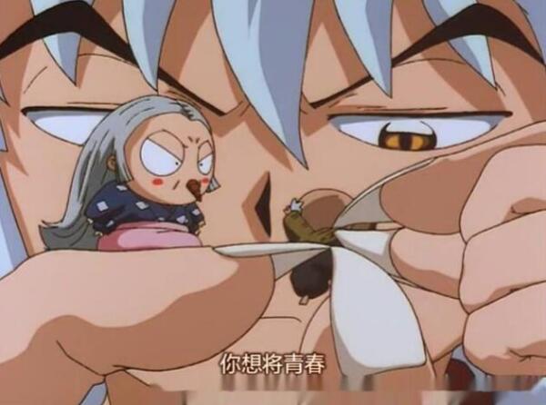 冥加 犬夜叉 及其衍生作品中的角色 搜狗百科