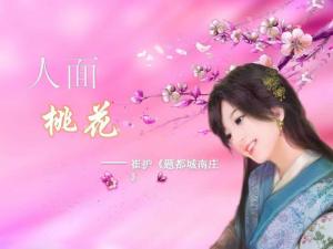人面桃花