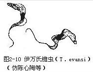 图2-10