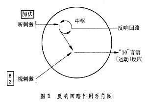 反响回路
