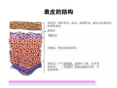 依视路染色要什么膜层,依视路 染色