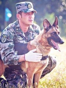 《神犬奇兵》图片