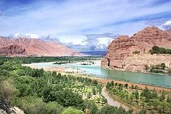 丹斗就在循化黄河北岸的大山上
