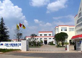 云南cy集团有限公司