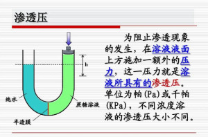 渗透压