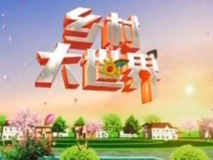 乡村大世界