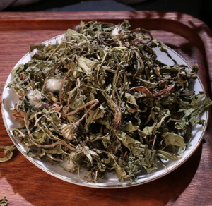 蒲公英茶