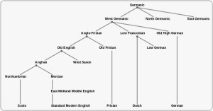 英语发展及来源演变图