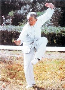 张式查拳 张文广宗师