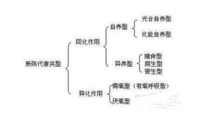 同化异化 - 搜狗百科