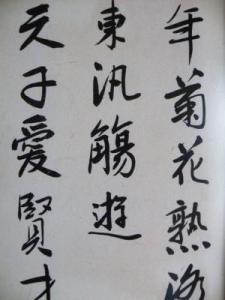 刘金凯