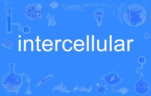 极快的形容词 300