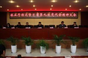 云南省林业厅会议