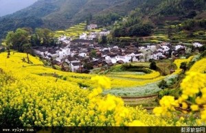 美丽的库山乡
