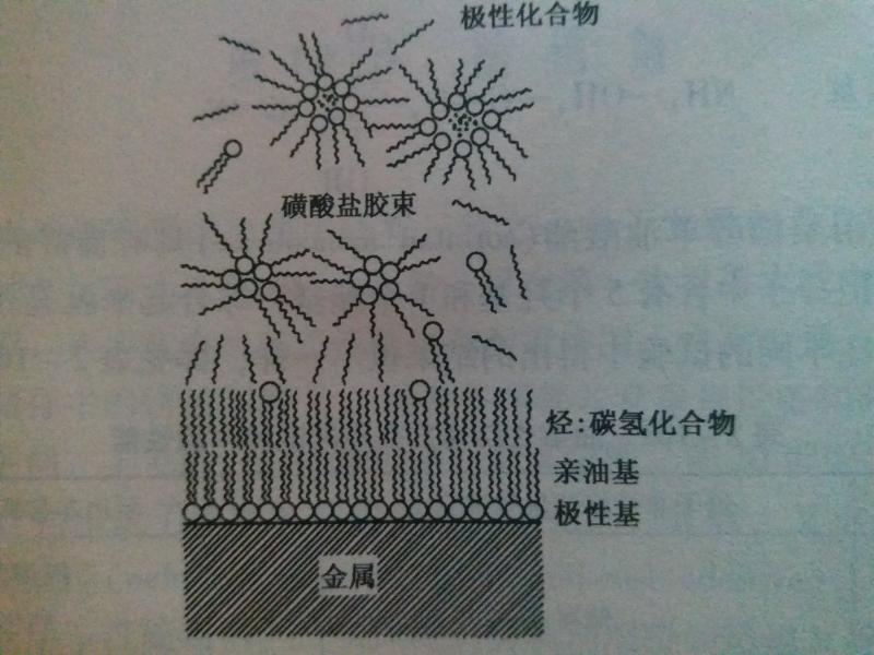 磺酸盐的溶解状态与极性化合物的增溶溶解（防锈油膜的结构图）