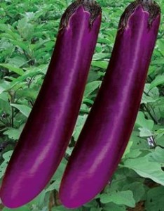 300