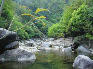 婺源大鄣山卧龙谷