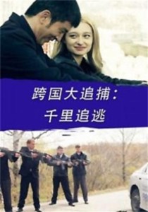 跨国追逃连续剧解读 300